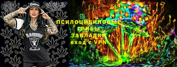 PSILOCYBIN Новодвинск