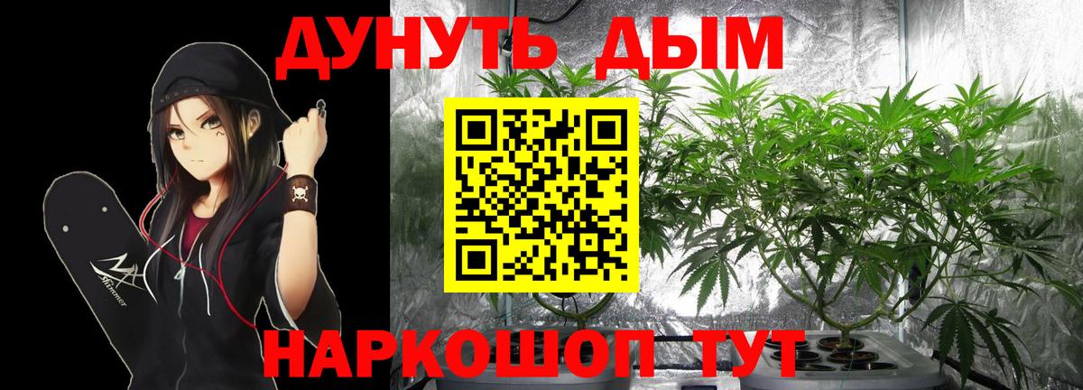 Бошки Шишки планчик Смоленск